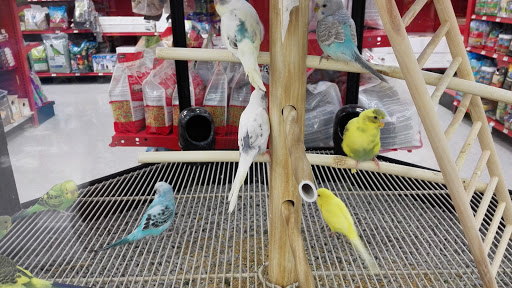 Pet Supply Store «Petco Animal Supplies», reviews and photos, 8111 W Broward Blvd, Plantation, FL 33324, USA