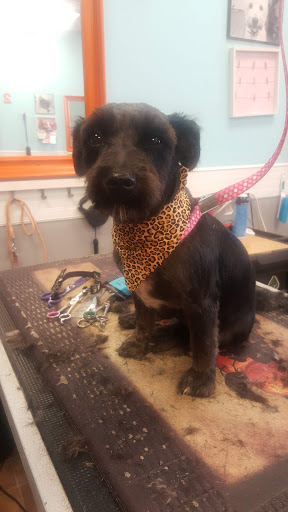 Tobacco Shop «The Smokers Edge Smoke and Vape Shop», reviews and photos, 19756 N John Wayne Pkwy #114, Maricopa, AZ 85138, USA