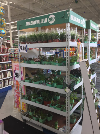 Discount Store «99 Cents Only Stores», reviews and photos, 26542 Towne Centre Dr, Foothill Ranch, CA 92610, USA