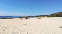 Praia da Lagoelas'in fotoğrafı vahşi alan