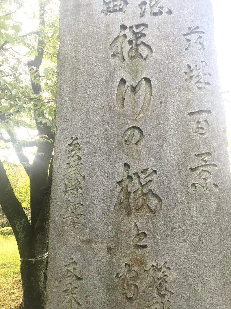 茨城百景 謡曲櫻川の櫻と磯部月山時 富谷観音碑