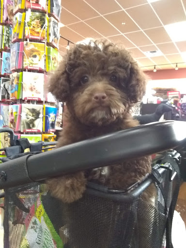 Pet Store «Pet Valu», reviews and photos, 1729 Quentin Rd, Lebanon, PA 17042, USA