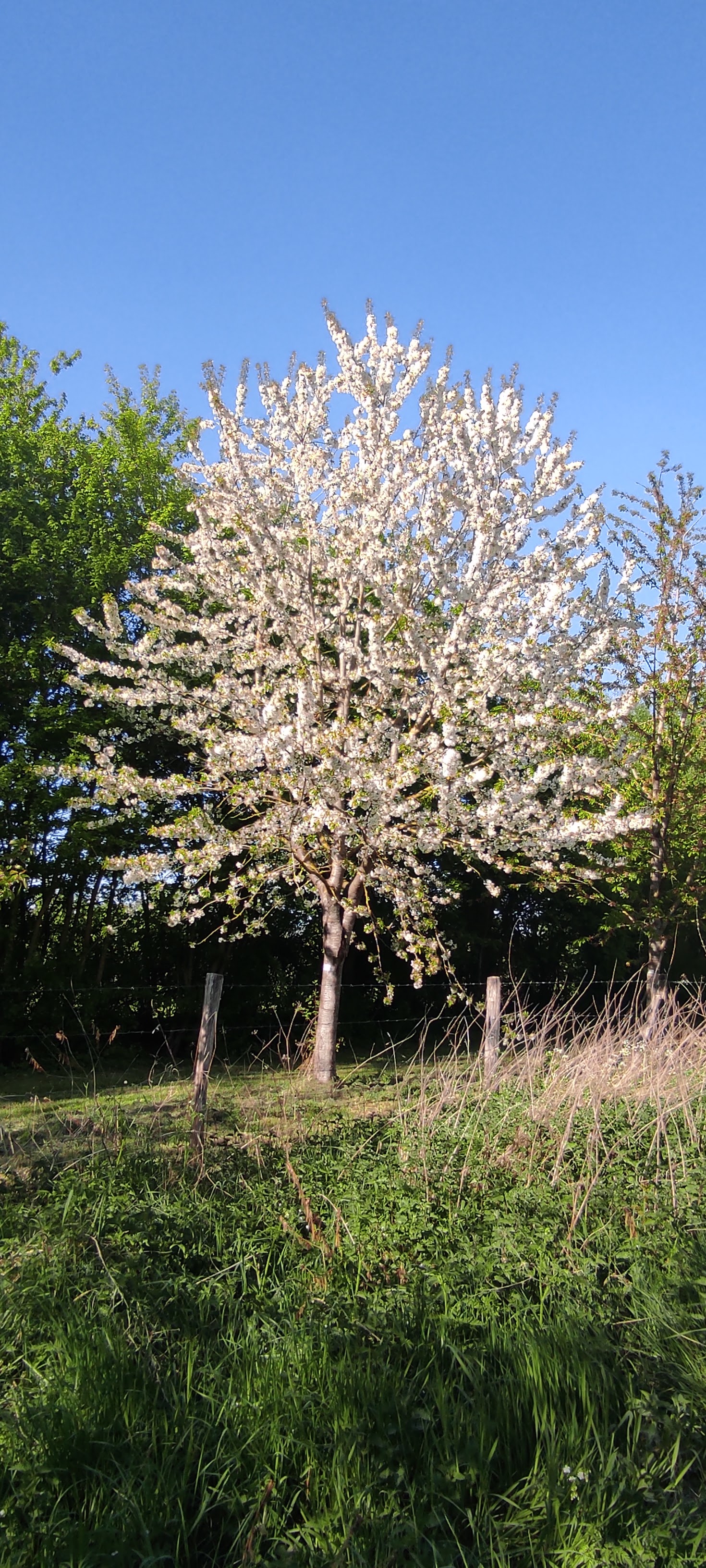 Photo n° 18 de l'avis de barbara.i fait le 21/04/2022 à 17:26