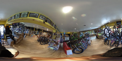 Bicycle Rental Service «Island Bike Shop», reviews and photos, 1095 Bald Eagle Dr, Marco Island, FL 34145, USA