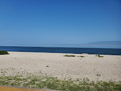 Truman's Beach'in fotoğrafı özel alan