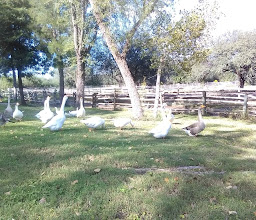 Villas del Palmar Park photo