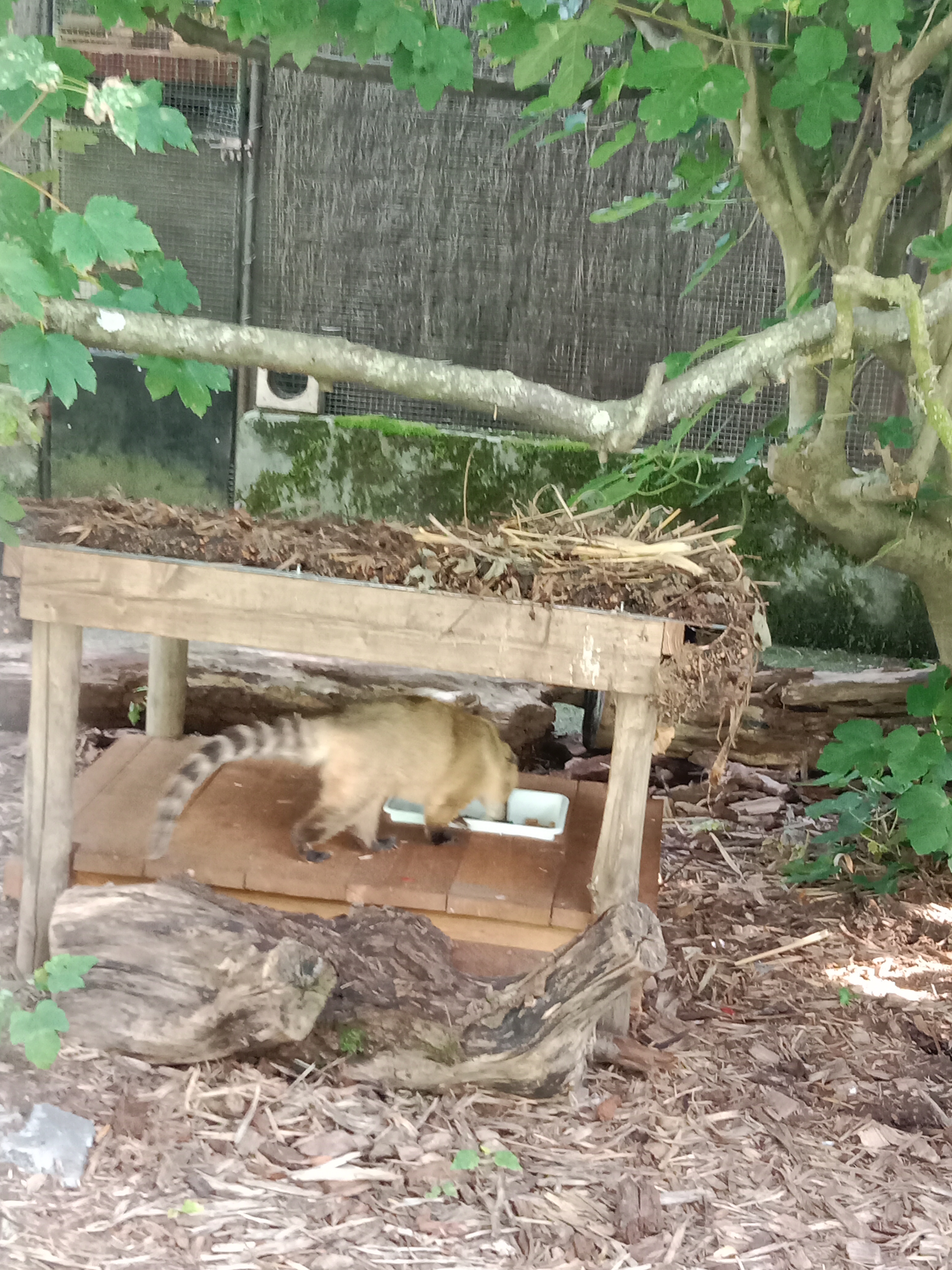 Photo n° 6 de l'avis de Sandrine.e fait le 10/08/2023 à 17:28