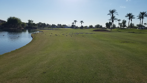 Golf Resort «Palm Valley Golf Club», reviews and photos, 2211 N Litchfield Rd, Goodyear, AZ 85395, USA