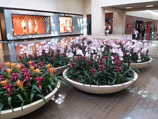 Clothing Store «Nike», reviews and photos, 8687 N Central Expy, Dallas, TX 75225, USA