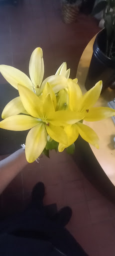 Florist «Thrifty Florist», reviews and photos, 211 S Telegraph Rd, Pontiac, MI 48341, USA