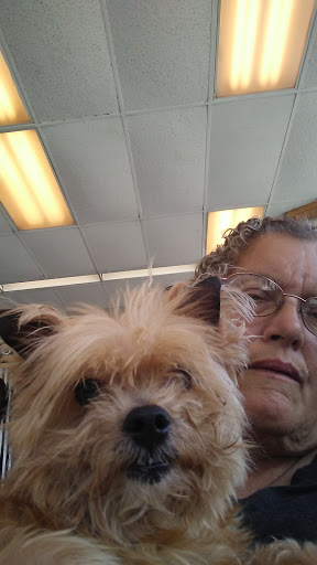 Tire Shop «Firestone Complete Auto Care», reviews and photos, 432 Washington St, Steubenville, OH 43952, USA