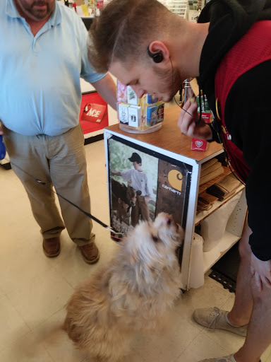 Hardware Store «Ace Peninsula Hardware», reviews and photos, 12490 Warwick Blvd, Newport News, VA 23606, USA