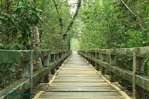 The Sundarbans (Bangladesh) image