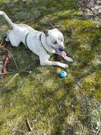 Park «Plum Creek Park», reviews and photos, Cherry St, Kent, OH 44240, USA