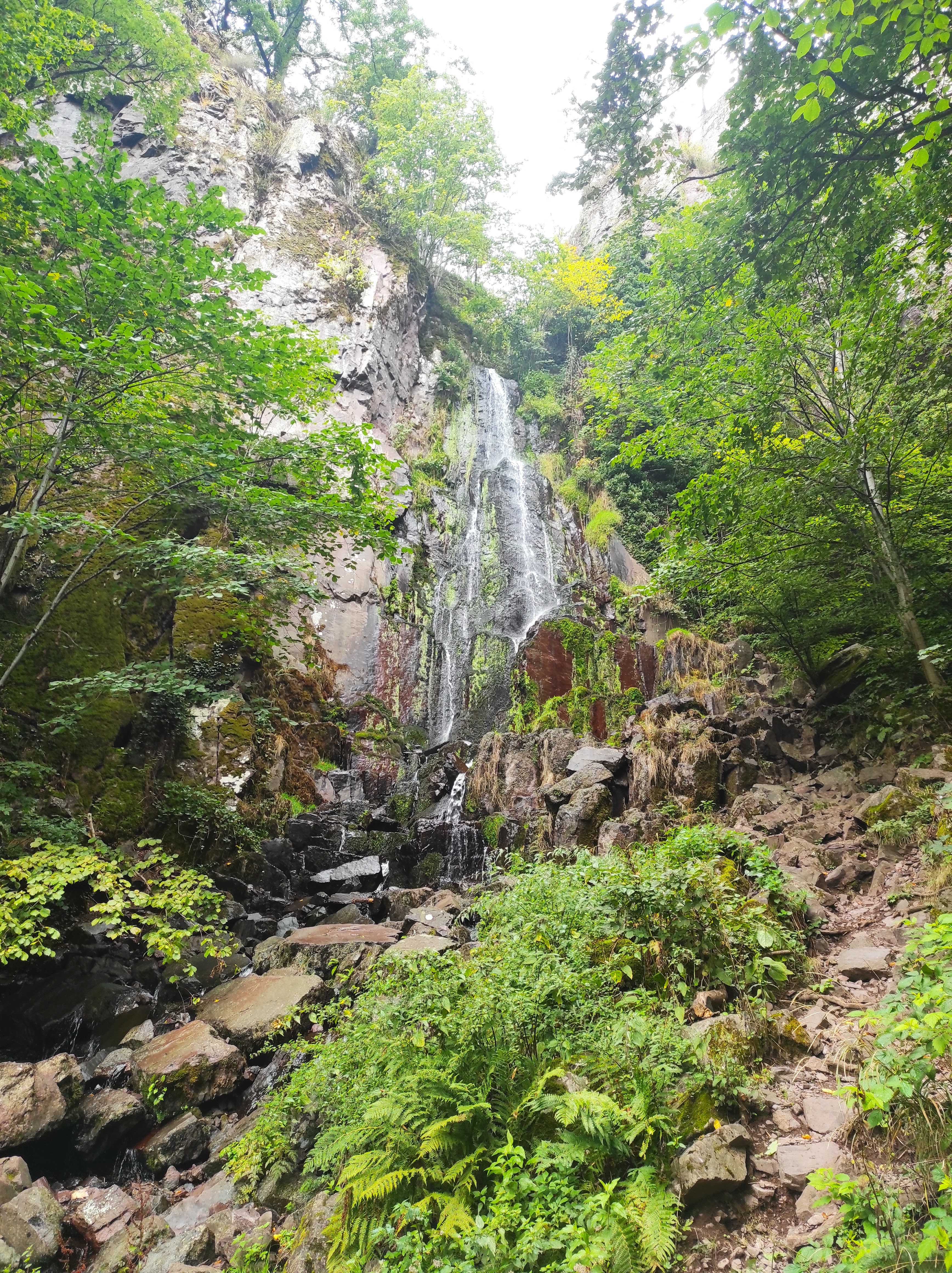 Photo n° 2 de l'avis de Jean-Yves. fait le 18/09/2022 à 12:44