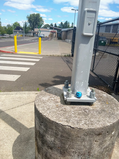 Park «Arnold Park», reviews and photos, 4155 SW 182nd Ave, Aloha, OR 97007, USA