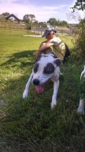 Nature Preserve «Schweitzer Woods Forest Preserve», reviews and photos, 16N690 Sleepy Hollow Rd, West Dundee, IL 60118, USA