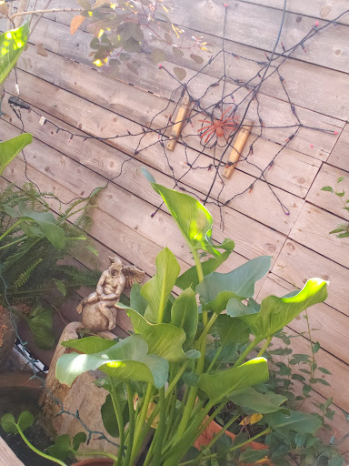 Cafe «Stories», reviews and photos, 1716 Sunset Blvd, Los Angeles, CA 90026, USA