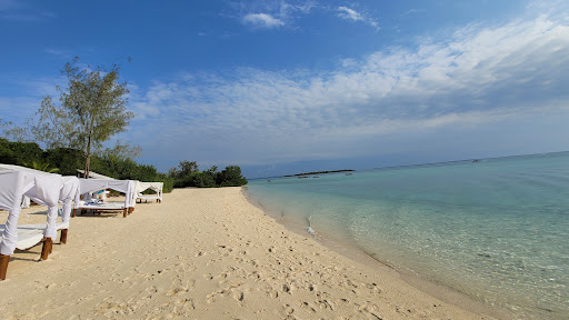 Travel Agency «Imagine Travel Vacations», reviews and photos, 313 S Greene St, Greensboro, NC 27401, USA