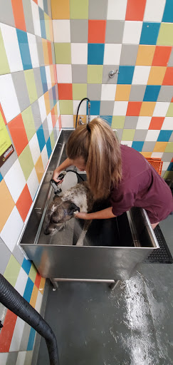 Pet Supply Store «Unleashed by Petco», reviews and photos, 515 El Camino Real #120, Menlo Park, CA 94025, USA