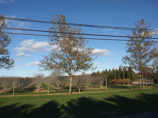 Self-Storage Facility «Life Storage», reviews and photos, 9 Hardscrabble Court, East Hampton, NY 11937, USA