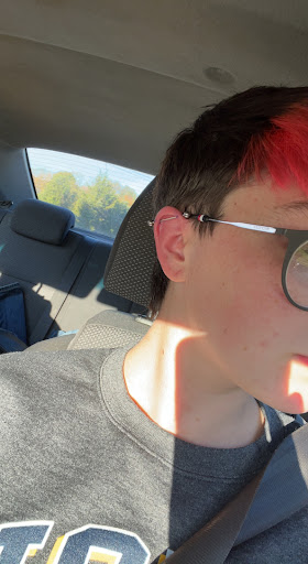 Body Piercing Shop «Alchemy Tattoo & Body Piercing in Tazewell, TN», reviews and photos, 1916 Highway 25 East, Tazewell, TN 37879, USA