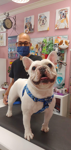 Pet Groomer «Furry Tails Pet Grooming», reviews and photos, 865 Cypress Pkwy, Poinciana, FL 34759, USA