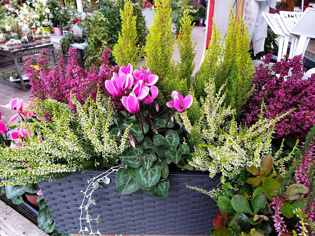 Stefana Batorego 124, 65-735 Zielona Góra