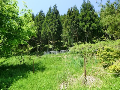 新城山館跡