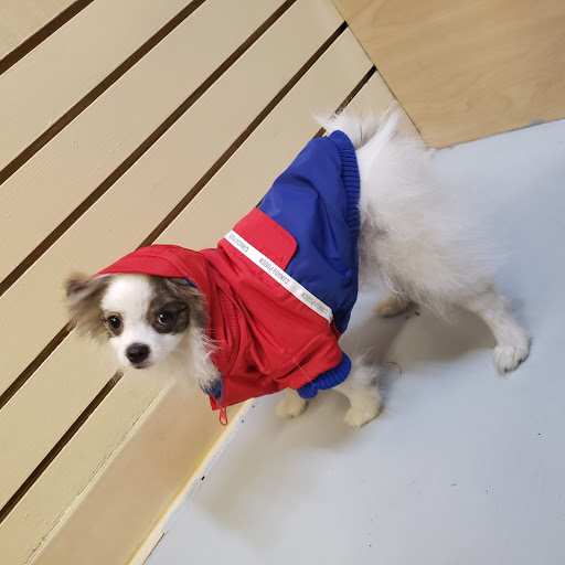 Pet Store «Pet Express», reviews and photos, 250 Granite St, Braintree, MA 02184, USA