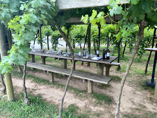 Vineyard «Wölffer Estate Vineyard», reviews and photos, 139 Sagg Rd, Sagaponack, NY 11962, USA