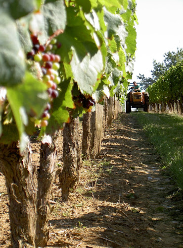 Domaine de vignerac à Casseuil