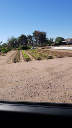 Greenhouse Gardens