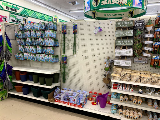 Dollar Store «Dollar Tree», reviews and photos, 16199 Harlem Ave, Tinley Park, IL 60477, USA
