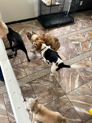 Critter Care, Blountstown Office