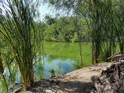 Park «Hugh Ramsey Nature Park», reviews and photos, 1000 TX-499 Loop, Harlingen, TX 78550, USA