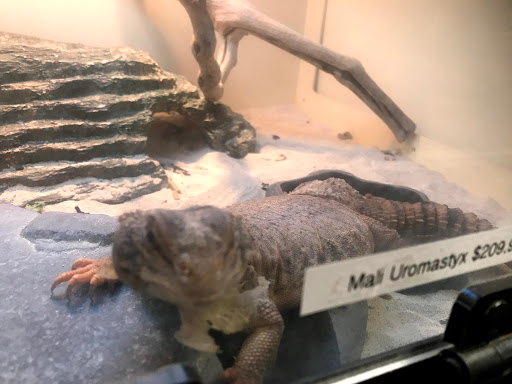 Pet Store «Olathe Pet Shop», reviews and photos, 16651 151st St, Olathe, KS 66062, USA