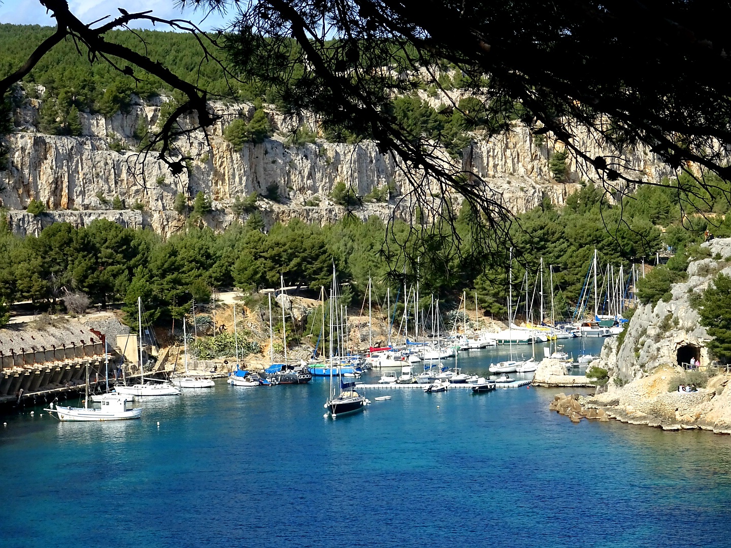 Photo n° 46 de l'avis de Islas.a fait le 27/03/2021 à 17:41