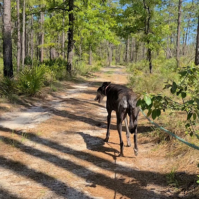 Parking - Horse & Hiking Trails - Withlacoochee State Forest
