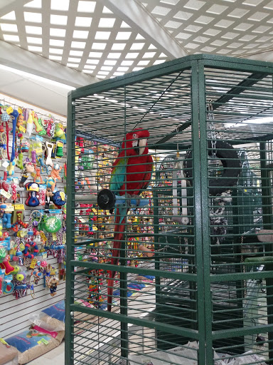 Pet Store «Discount Pet & Supplies», reviews and photos, 16320 Middlebelt Rd, Livonia, MI 48154, USA