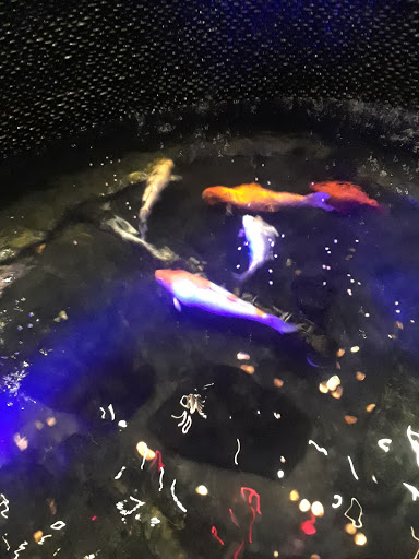 Chevrolet Dealer «Carl Black Chevrolet Buick GMC», reviews and photos, 11500 E Colonial Dr, Orlando, FL 32817, USA