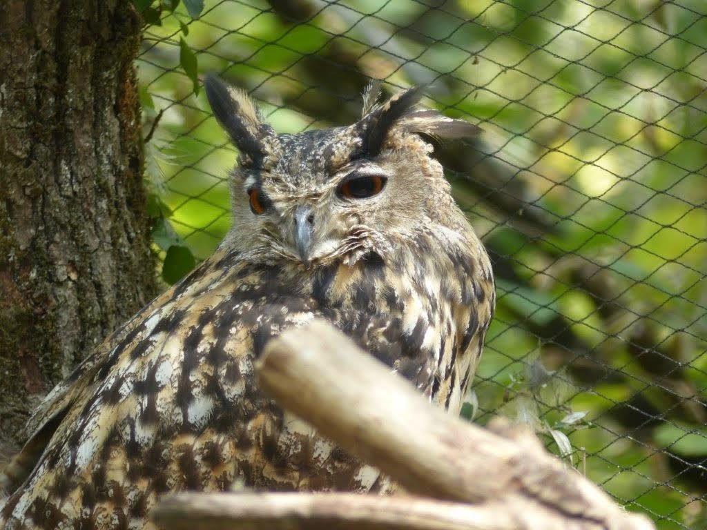 Photo n° 3 de l'avis de Nathalie.. fait le 17/08/2022 à 20:25