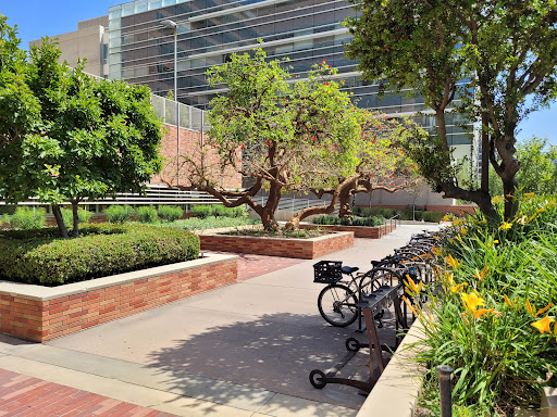 UCLA Occupational Health Facility