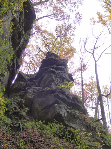 Nature Preserve «Fern Cliff Nature Preserve», reviews and photos, W County Rd 375 S, Greencastle, IN 46135, USA