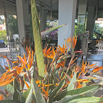 Photo n°7 de l'avis de Daniela.a fait le 15/05/2024 à 11:54 sur le  Hotel Caravelle à Diano Marina