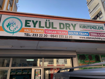 Adana Eylül Dry Kuru Temizleme ve Halı koltuk yıkama