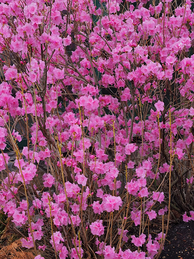 Outdoor Sports Store «Kittery Trading Post», reviews and photos, 301 US-1, Kittery, ME 03904, USA