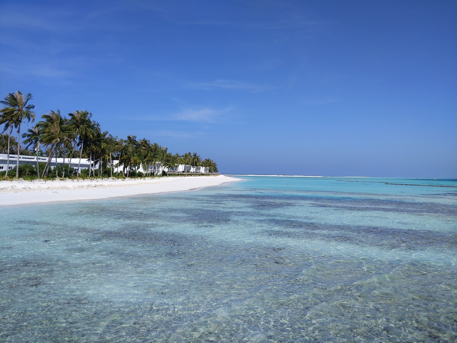 Photo de Riu Resort Beach avec rivage droit, long