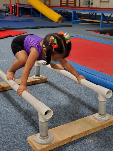 Gymnastics Center «Texas Gymnastics Training Center», reviews and photos, 1331 US Highway 80 E # 4, Mesquite, TX 75150, USA