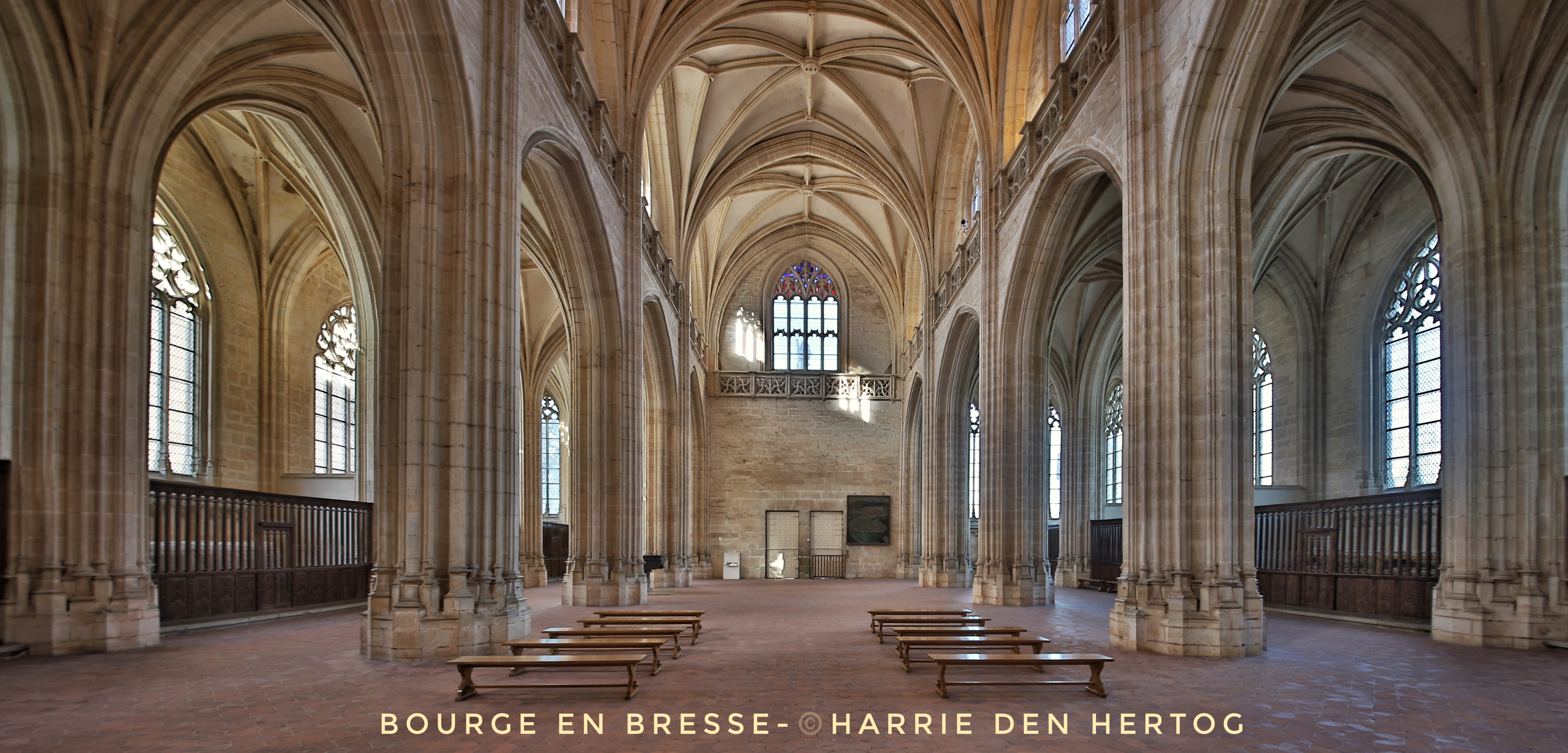 Photo n° 2 de l'avis de Harrie.e fait le 24/09/2023 à 10:14